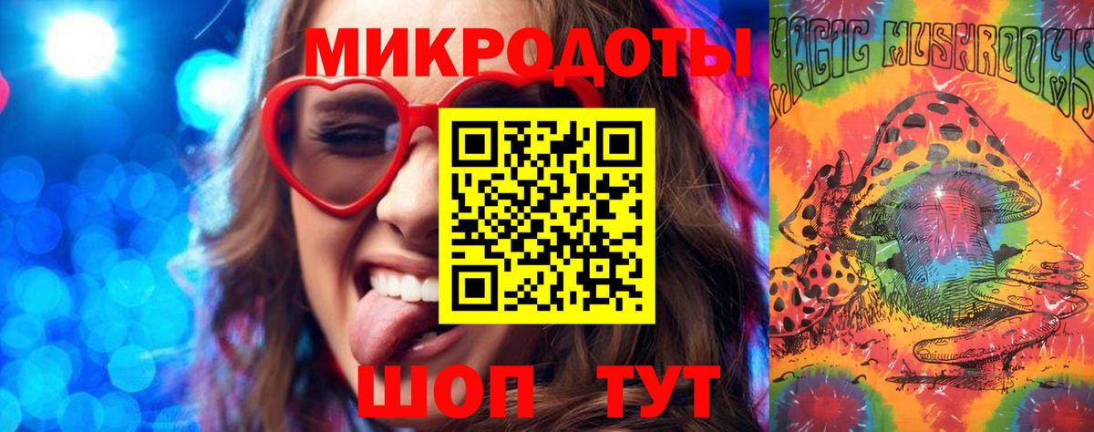 Псилоцибиновые грибы Cubensis Бор