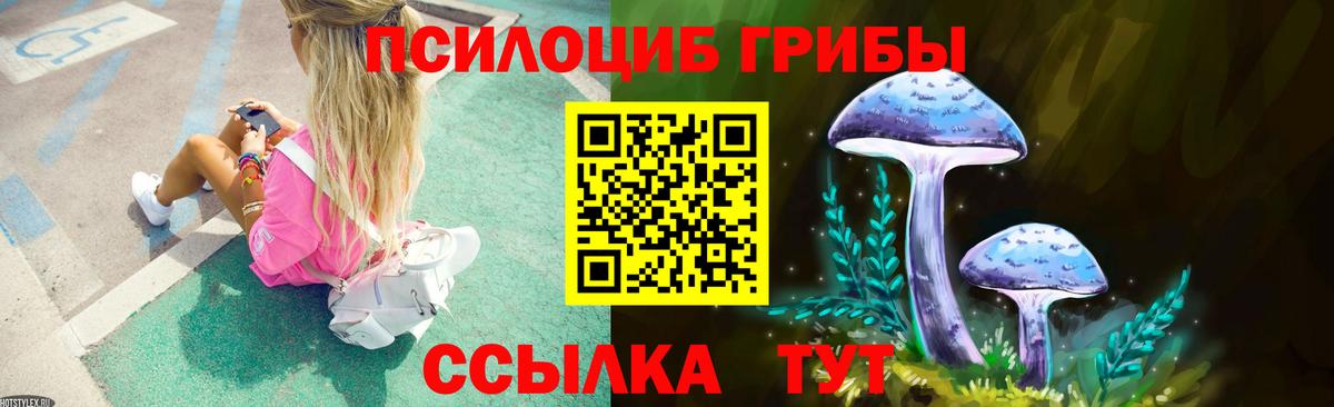 Бор  Галлюциногенные грибы Cubensis  Вход с VPN 